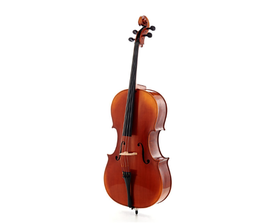 Chinese violin