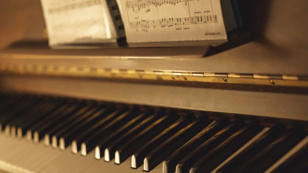 Dehumidifier for Piano