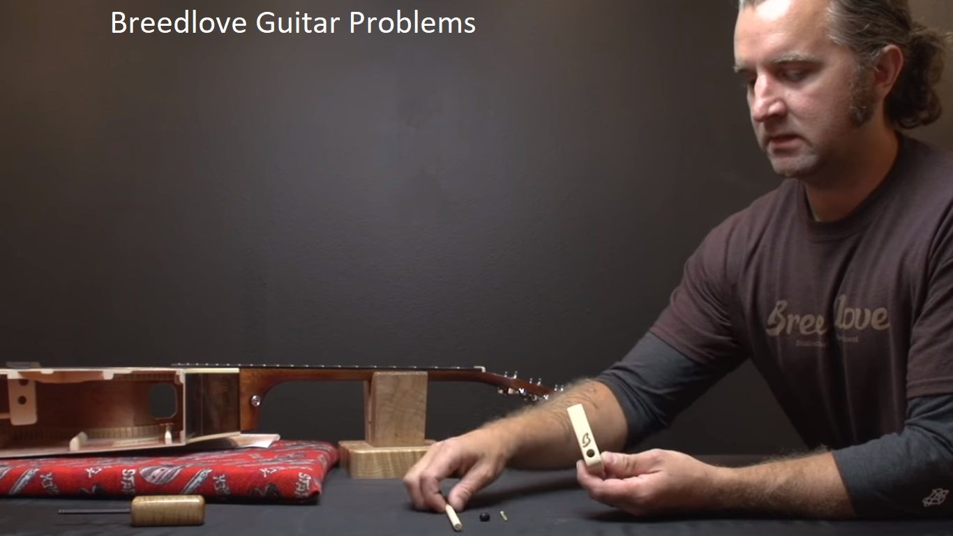 Breedlove Guitar Problems