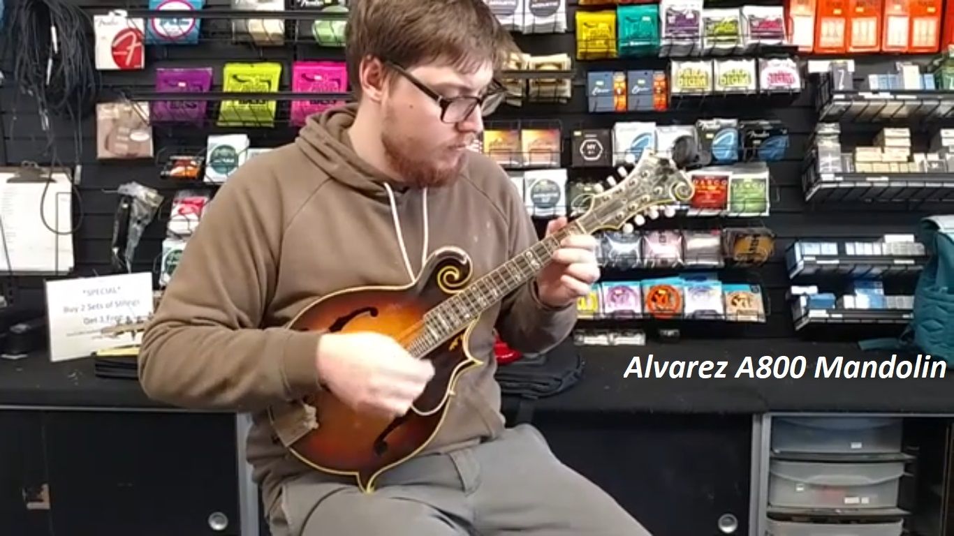 Alvarez A800 Mandolin