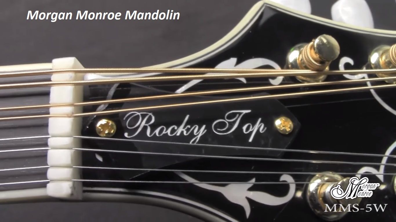 Morgan Monroe Mandolin