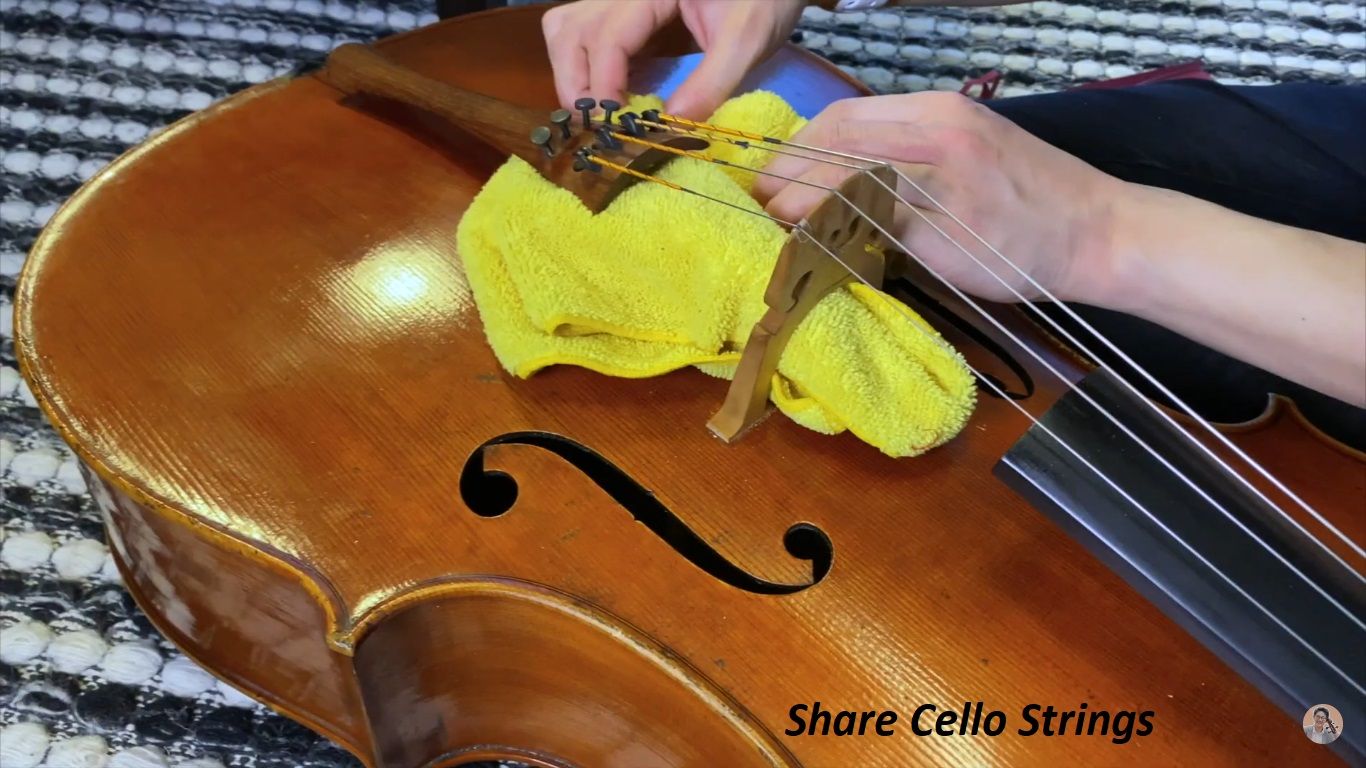 Share Cello Strings