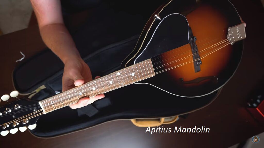 Apitius Mandolin: Master the Art of String Play - Best Music ...