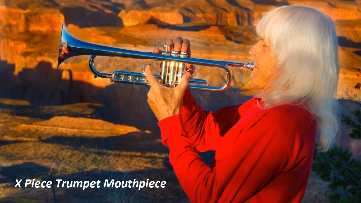 X Piece Trumpet Mouthpiece